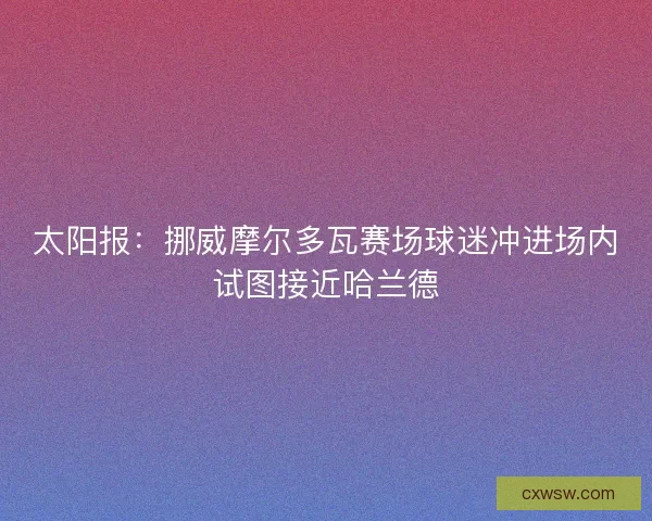 太阳报：挪威摩尔多瓦赛场球迷冲进场内试图接近哈兰德