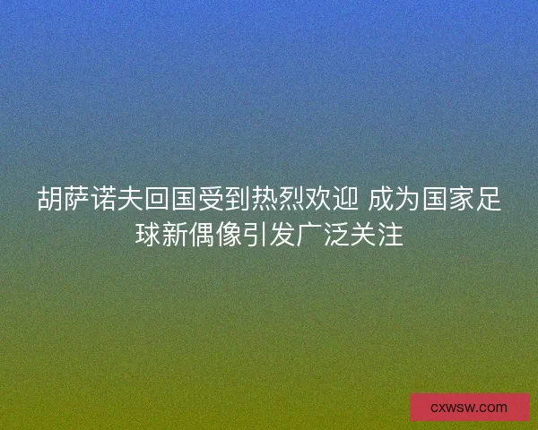 胡萨诺夫回国受到热烈欢迎 成为国家足球新偶像引发广泛关注