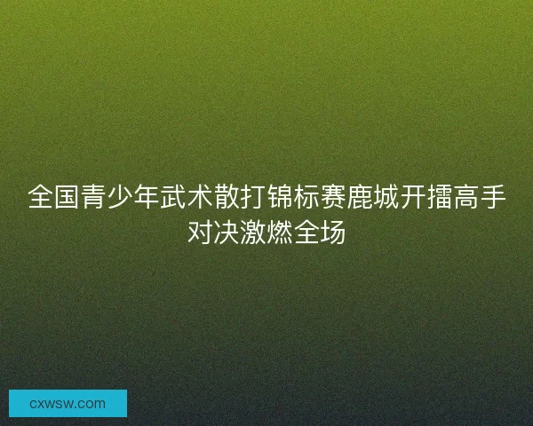 全国青少年武术散打锦标赛鹿城开擂高手对决激燃全场